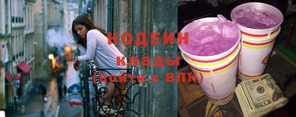 мдпв Горнозаводск