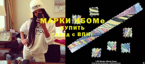мдпв Горнозаводск