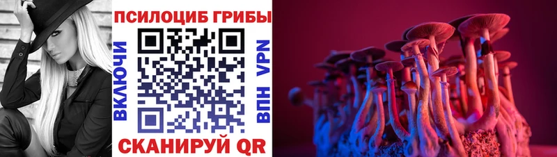 Купить где  Харовск  Галлюциногенные грибы Magic Shrooms 